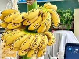 Cây ăn trái tại văn phòng – Nghiên cứu tính khả thi